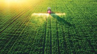 aerial view of field being harvested